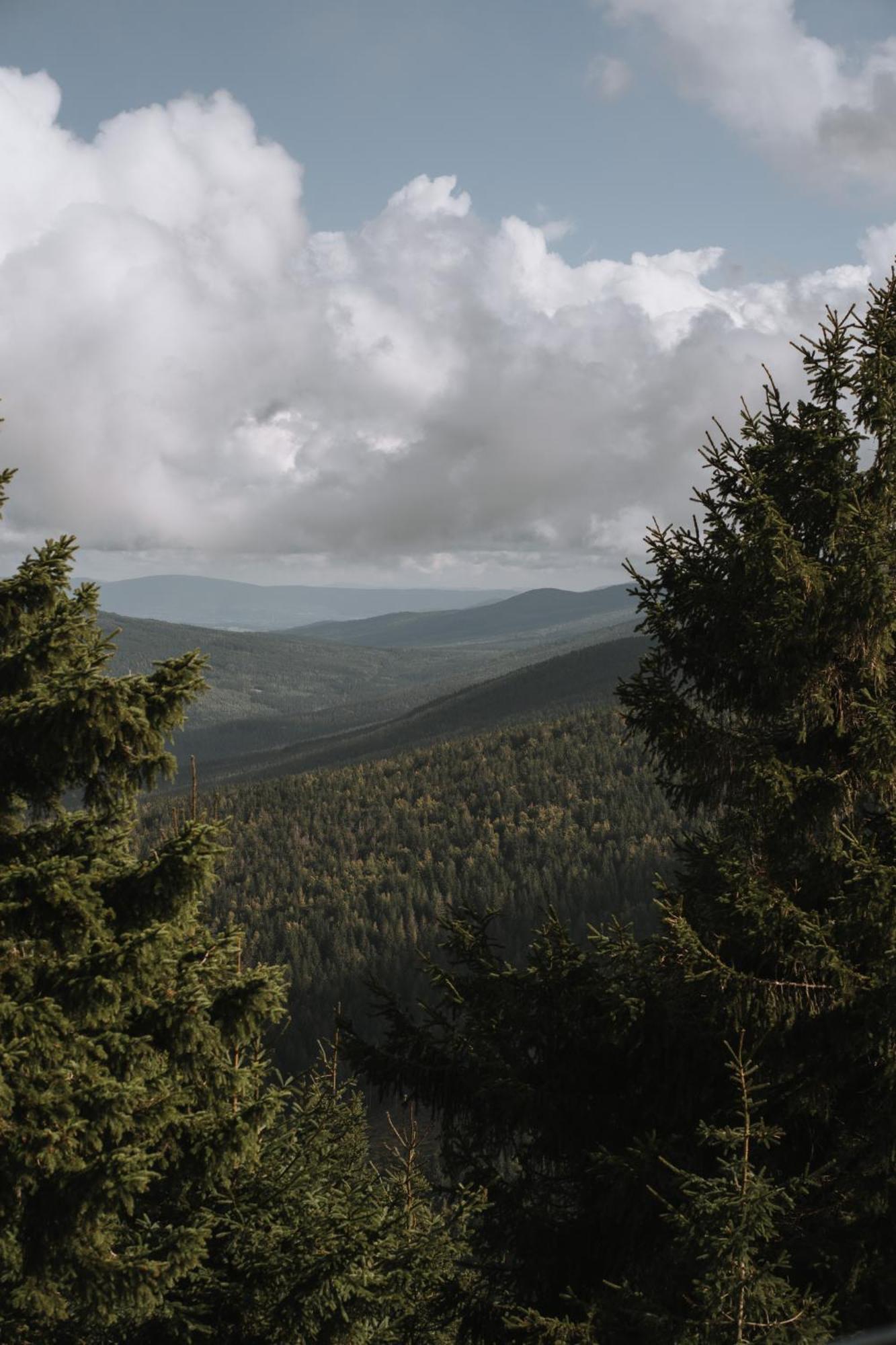 Forest Park Resort & Spa Świeradów-Zdrój Eksteriør billede