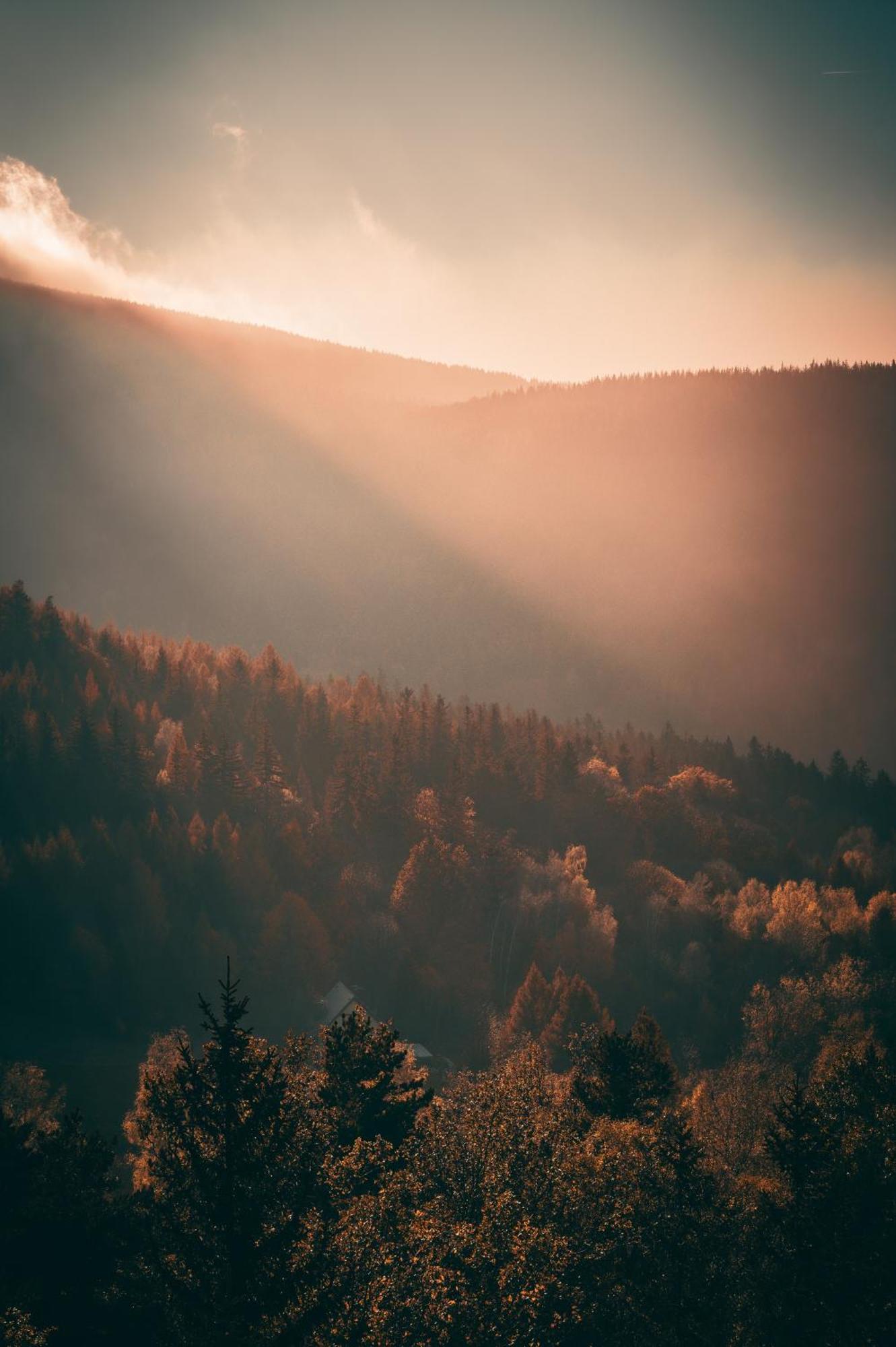 Forest Park Resort & Spa Świeradów-Zdrój Eksteriør billede